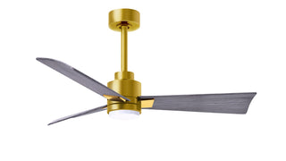 Buy brushed-brass-finish-with-barn-wood-tone-blades Alessandra - LK Ceiling Fan by Matthews Fan Company