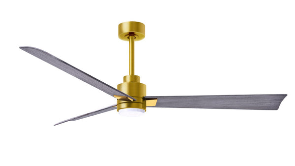 Alessandra - LK Ceiling Fan by Matthews Fan Company