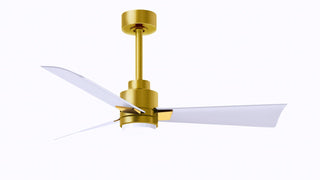 Buy brushed-brass-finish-with-matte-white-blades Alessandra - LK Ceiling Fan by Matthews Fan Company