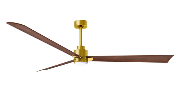 Alessandra - LK Ceiling Fan by Matthews Fan Company