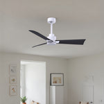 Matthews Fan Company-AK-MWH-BK-42|ALT|3