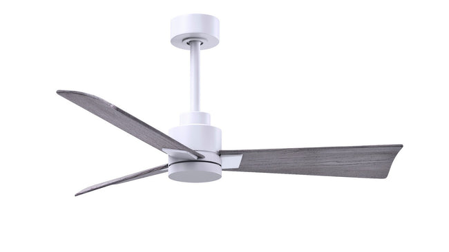 Matthews Fan Company-AK-MWH-BW-42|MAIN