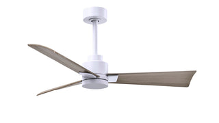 Buy matte-white-finish-with-gray-ash-tone-blades Alessandra Ceiling Fan by Matthews Fan Company