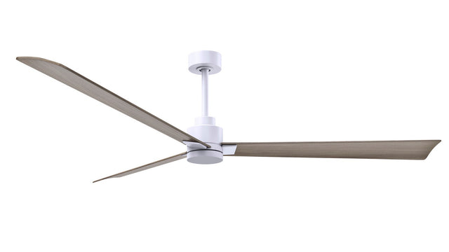 Alessandra Ceiling Fan by Matthews Fan Company