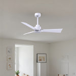 Matthews Fan Company-AK-MWH-MWH-42|ALT|2