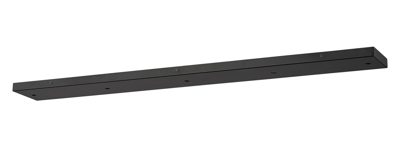 Z-Lite-CP4205L-MB|MAIN