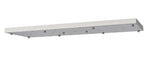 Z-Lite-CP4217L-BN|MAIN
