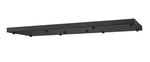 Z-Lite-CP4217L-MB|MAIN