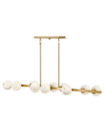 Fredrick Ramond-FR41906LCB|MAIN