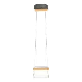 Buy natural-iron-with-clear-glass-zm-glass-and-clear-shade Cowbell Mini Pendant by Hubbardton Forge