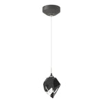 Hubbardton Forge-161188-SKT-STND-20-BP0754|MAIN