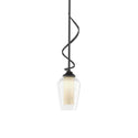 Flora Pendant by Hubbardton Forge