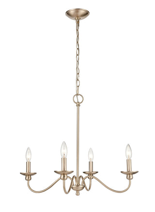 Delvona Outdoor (Damp) Chandelier by Millennium