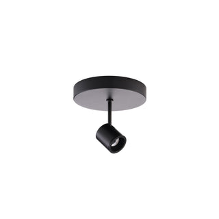 Buy black Stealth Silo Spotlight by W.A.C. Lighting