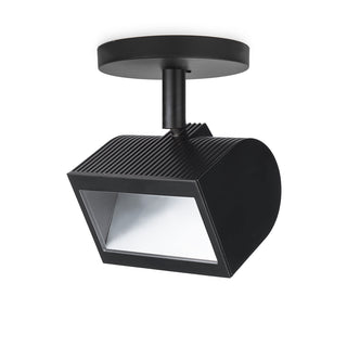 Buy black Wall Wash Floodlight by W.A.C. Lighting