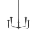 Danna Outdoor (Damp) Chandelier by Mitzi