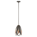 Pental Pendant by Hubbardton Forge