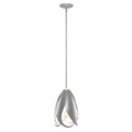 Pental Pendant by Hubbardton Forge