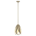 Pental Pendant by Hubbardton Forge