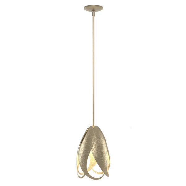 Pental Pendant by Hubbardton Forge