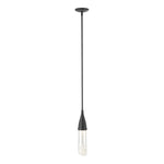 Hubbardton Forge-188900-SKT-MULT-10-ZM0617|MAIN