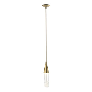 Buy modern-brass-with-clear-glass-zm-glass-and-clear-shade Fritz Mini Pendant by Hubbardton Forge
