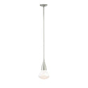Fritz Pendant by Hubbardton Forge