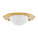 Geraldton Outdoor (Damp) Flush Mount Ceiling Light by Hudson Valley