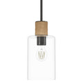 Vanning Pendant by Hunter
