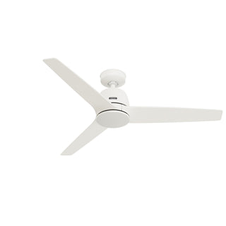 Malden Ceiling Fan by Hunter