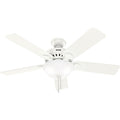 Pro's Best Ceiling Fan with Light by Hunter