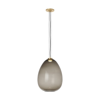 Buy transparent-smoke-natural-brass Kapoor Outdoor (Damp) Pendant by Visual Comfort Modern