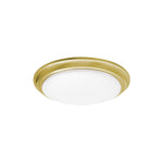 AFX Lighting-BRNF12LAJD1SB|MAIN