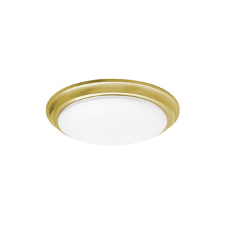 Buy satin-brass Baron Outdoor (Damp) Flush Mount Ceiling Light by AFX Lighting