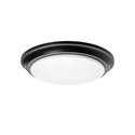 Baron Outdoor (Damp) Flush Mount Ceiling Light by AFX Lighting