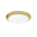 Baron Outdoor (Damp) Flush Mount Ceiling Light by AFX Lighting