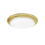 AFX Lighting-BRNF14LAJD1SB|MAIN