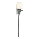 Hubbardton Forge-204710-SKT-RGT-82-GG0236|MAIN