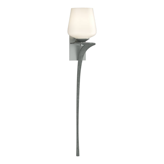Hubbardton Forge-204710-SKT-RGT-82-GG0236|MAIN