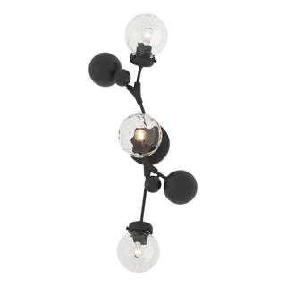 Buy black-with-water-glass-ll-glass-and-clear-textured-shade Sprig Sconce by Hubbardton Forge