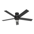 Xidane Ceiling Fan with Light by Hunter