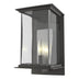 Coastal Natural Iron with Clear Glass (ZM) Glass and Clear Shade