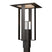 Coastal Oil Rubbed Bronze with Clear Glass (ZM) Glass and Clear Shade