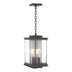 Coastal Oil Rubbed Bronze with Clear Glass (ZM) Glass and Clear Shade