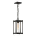 Coastal Oil Rubbed Bronze with Clear Glass (ZM) Glass and Clear Shade