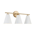 Charlie Vanity by Capital Lighting