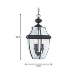 Generation Lighting-6039-12|ALT|2