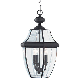 Buy black Lancaster Outdoor (Damp) Hanging Lanterns by Generation Lighting