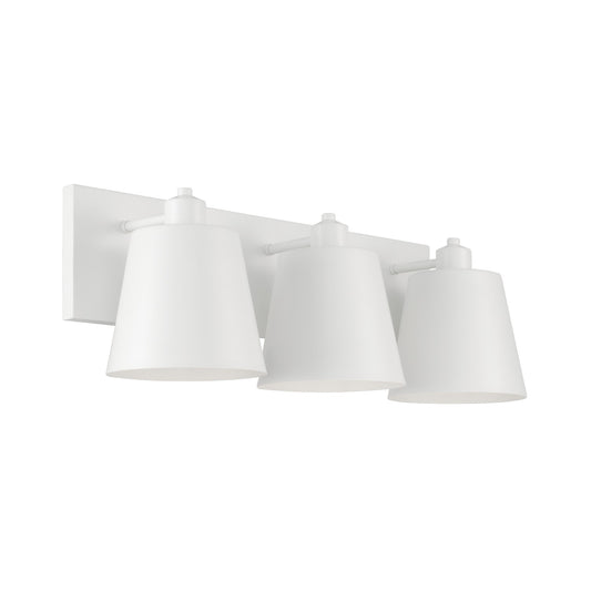 Alden Vanity by Capital Lighting