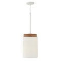 Liam Pendant by Capital Lighting
